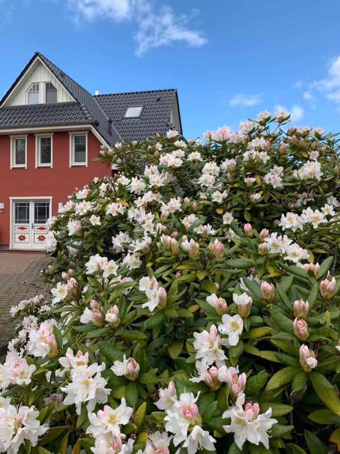 Ferienwohnung Strandgut - Kavelweg 9 - Zingst Bagian luar foto